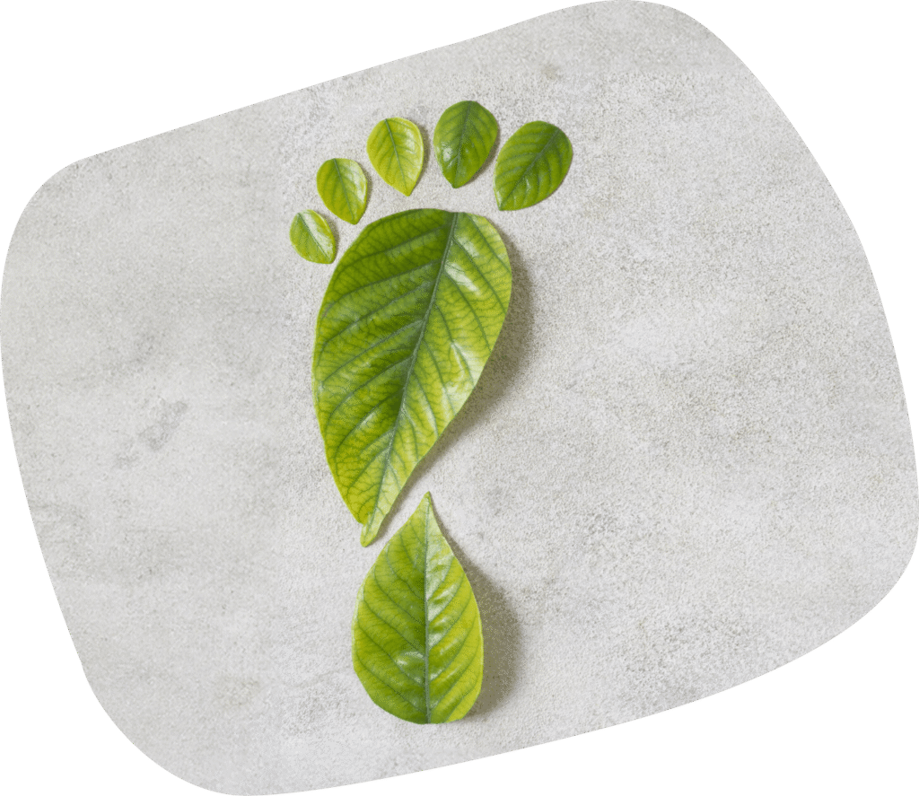 agricultura vertical urbana en Madrid