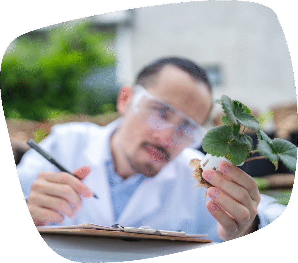 agricultura vertical urbana en Madrid